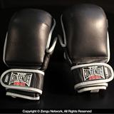 IMF Tech MMA Sparring Gloves